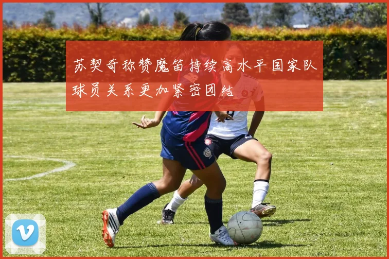 苏契奇称赞魔笛持续高水平国家队球员关系更加紧密团结